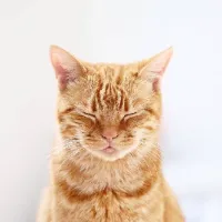 歸藏的 AIGC 周刊