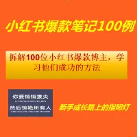 小红书爆款博主100例