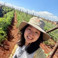 我在非洲卖菜