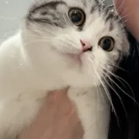 Elijah的技术与生活碎碎念