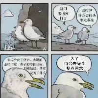 去码头整点恶龙