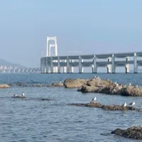 观周的私域执行手册