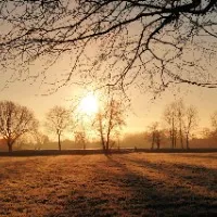 医学英语术语笔记