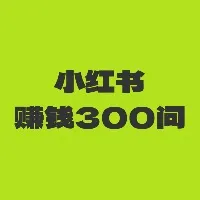 小红书从0到赚钱300问