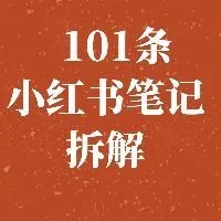 101个可复制对标的爆款变现笔记